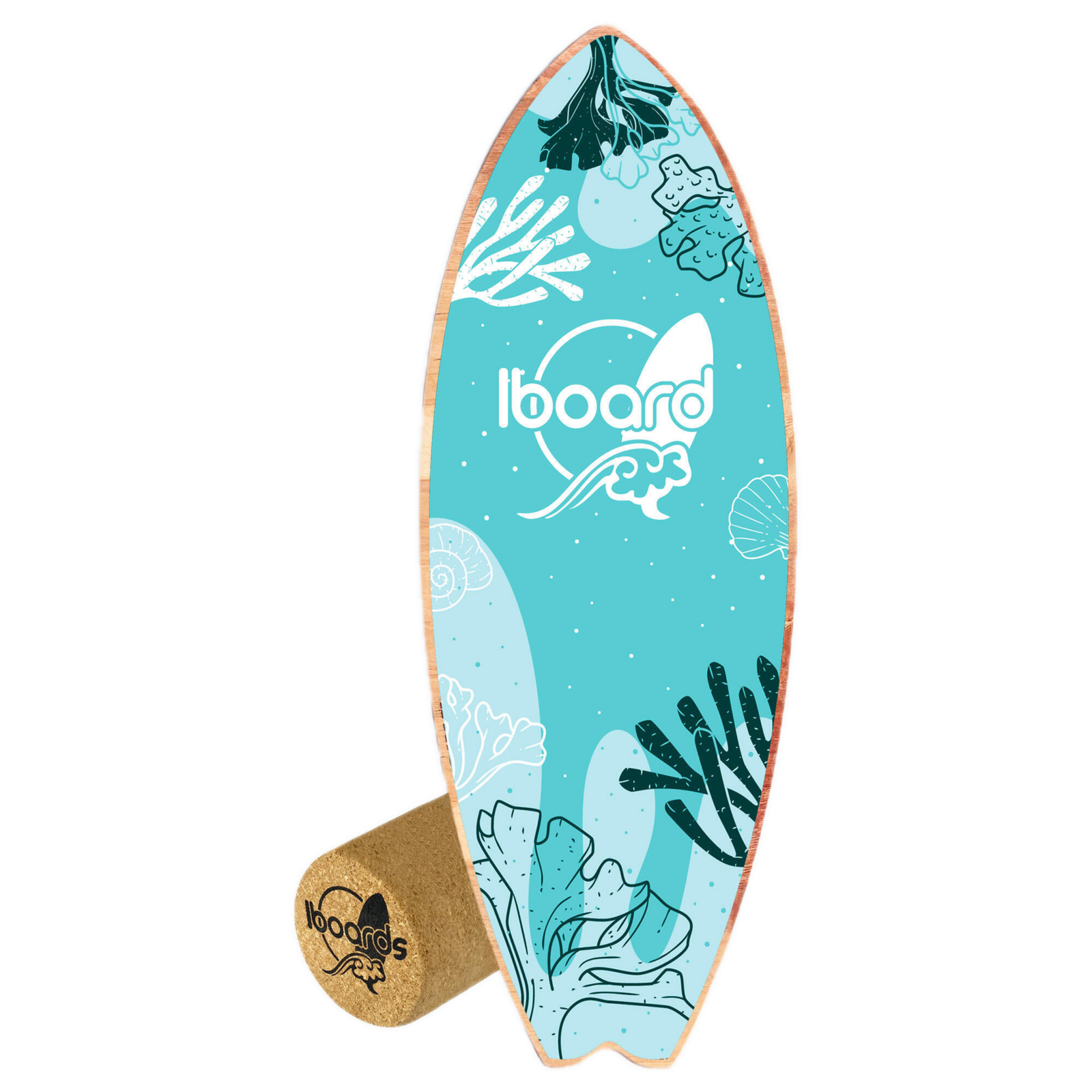 REEF
